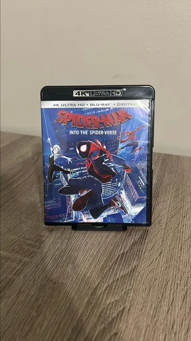 Spider-man into the spider-verse