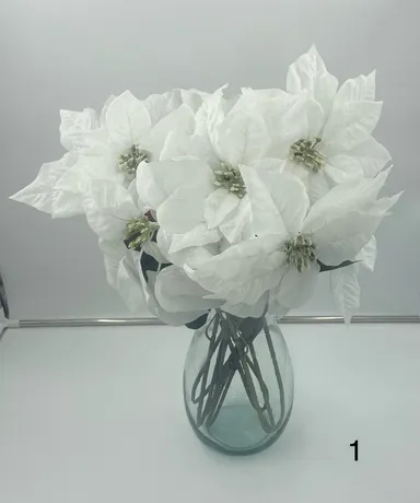 Floral White Poinsettia 