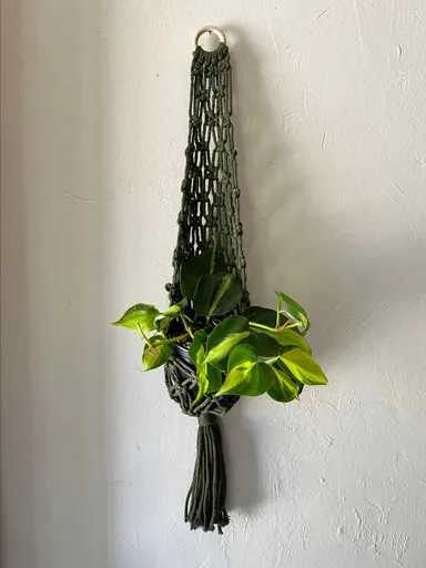 Handmade macrame hanger- army green