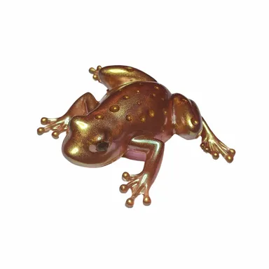 Gold Chameleon Frog