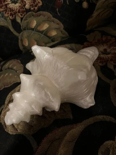 White Conch candle