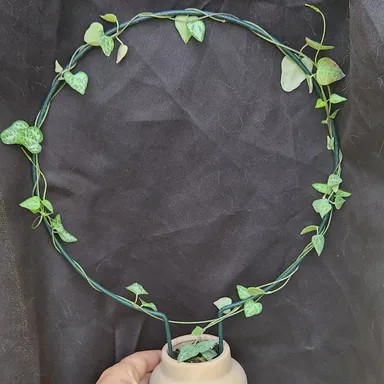String of Arrows with Pot and Trellis