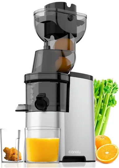 Masticating Juicer Machines, 4.1-inch(104mm) Powerful Slow Cold Press Juicer with Large Feed Chute,