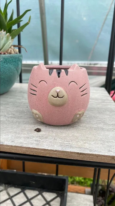 Cute Cat Planter pink