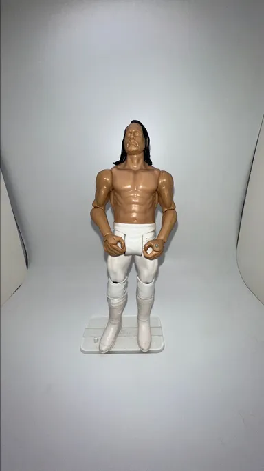 Seth Rollins WWE Mattel Wrekkin Wrestling Figure Prototype Testshot