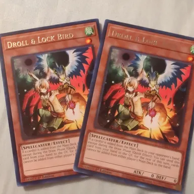 TWO Droll & Lock Bird Cards