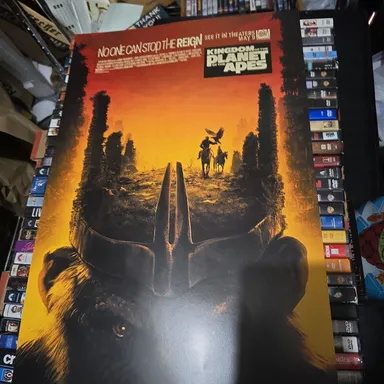 Cineworld Exclusive Kingdom of the Planet of the Apes Matt Ferguson A3 Poster
