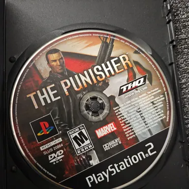 THE PUNISHER PS2. LOOSE IN CUSTOM CASE.