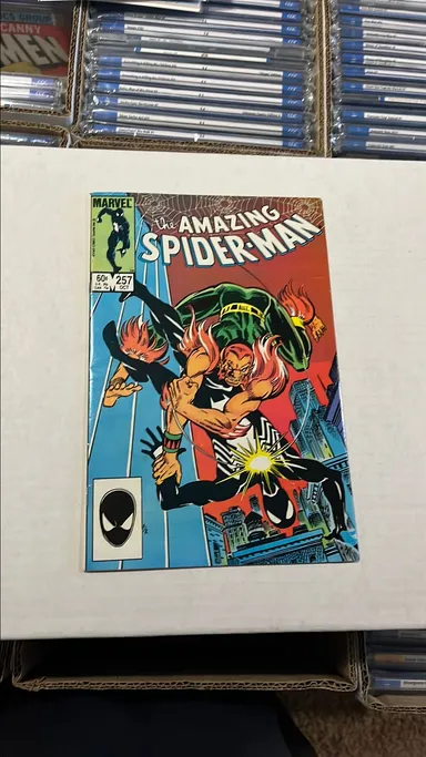 Amazing Spider-Man 257