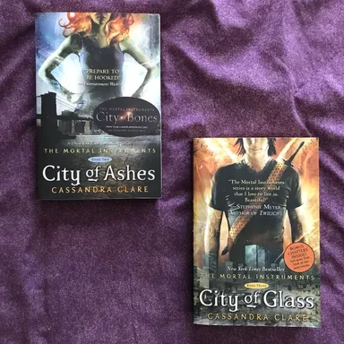 The Mortal Instruments 2-Book Collection (City of Ashes & City of Glass)