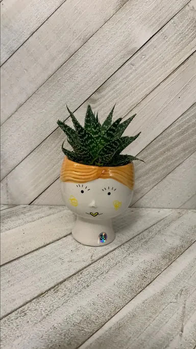 #38 Lace Aloe with Head Pot Yellow