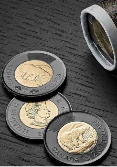 2022 BLACK RIM Toonie (2pack) CANADA $2 coin