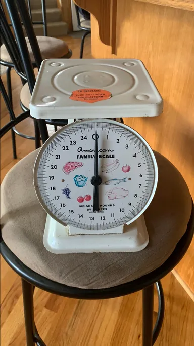 10. 1960's Vintage American Family Scale - White Metal 25lb Food Scale