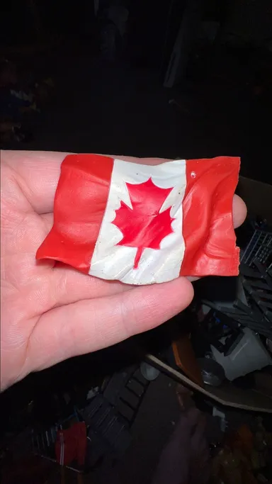 TNA (?) Canadian Flag Accessories