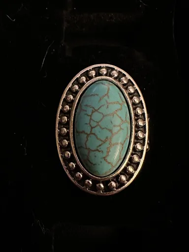 Paparazzi large turquoise stone stretch ring