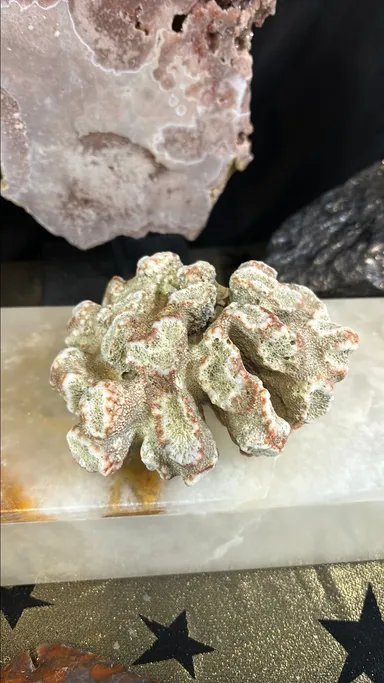 Raw coral beautiful