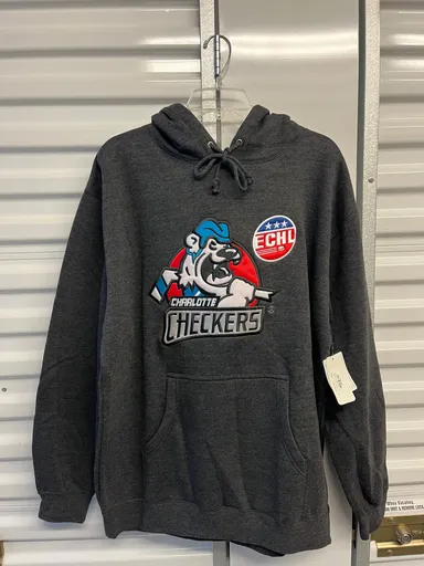 BRAND NEW W/TAGS 90’s/Y2K Charlotte Checkers ECHL Hockey Team Embroidered Hoodie