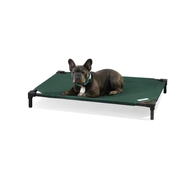 Coolaroo Cooling Elevated Dog Bed Pro, Medium, Fits in 42in Crates, Brunswick Green