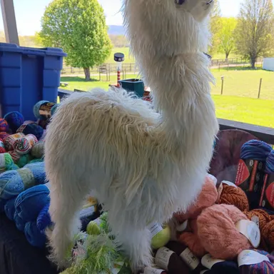 Real scaled down Alpaca model