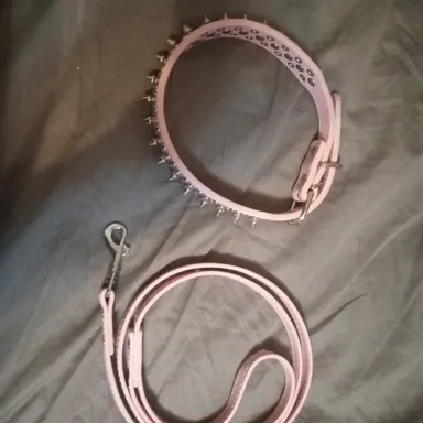 a pink dog collar and leash