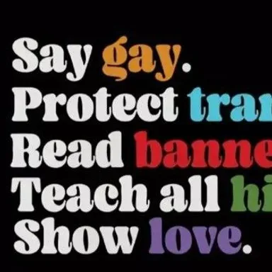Decal Sticker Say Gay, Protect Trans Kids, Read Banned Books, Teach All History. Show Love 10" × 5"