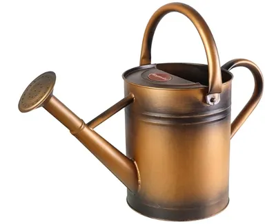 One Gallon Metal Watering Can with Removable Spout