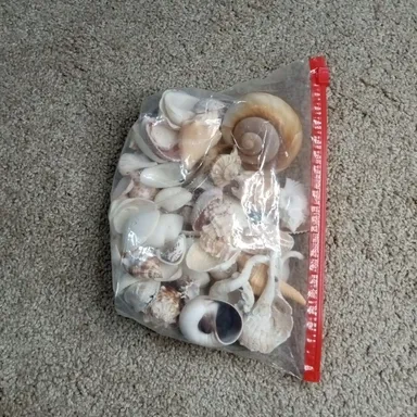Assorted Sea Shells 2 Pounds of Weight.
Great as aquarium decor

This collection of assorted sea she