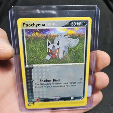 Poochyena - Ruby & Saphire - 2003 - Pokémon