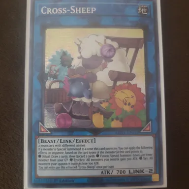 Cross-Sheep PSR