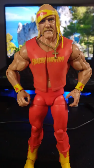 WWE Elite Hogan Custom