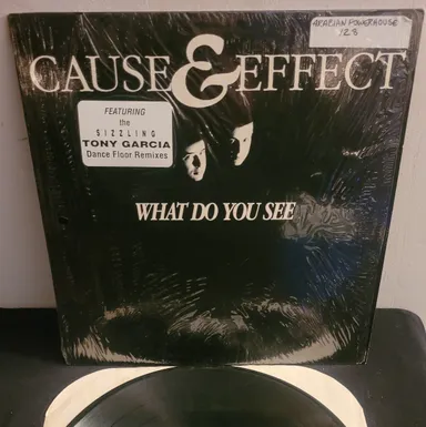 Cause & Effect - What Do You See - 1990 Exile