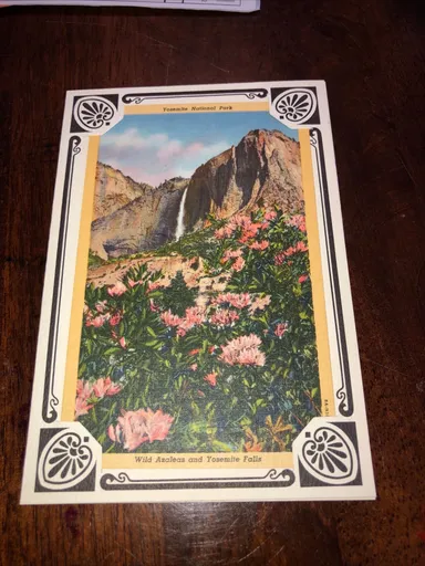 Vintage Postcard Wild Azaleas and Yosemite Falls, Yosemite National Park