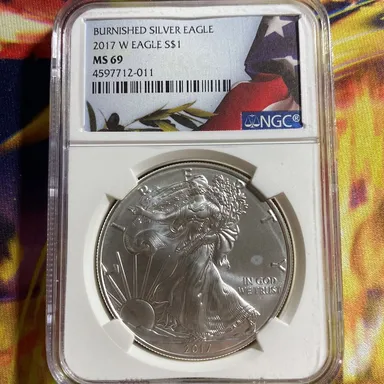Burnished silver eagle 2017 W ms69