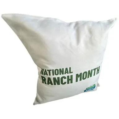 RARE Hidden Valley Ranch Pillow NEW HVR Merch National Ranch Month 17" White