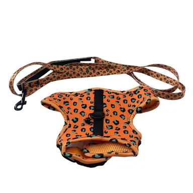 Cheetah Cat Leash & Harness Combo by Whisker City Orange & Blue New Never Used 