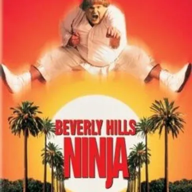 Beverly Hills Ninja (DVD)