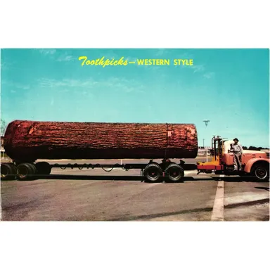 Toothpicks Western Style Postcard Logging Truck Unposted