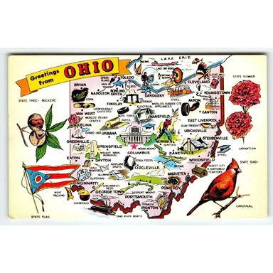 Ohio Map Postcard Chrome Cardinal Bird Buckeye State Flowers Flag Tichnor Unused