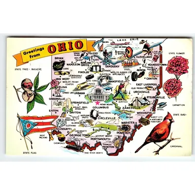 Ohio Map Postcard Chrome Cardinal Bird State Flower Carnation Flag 1953 Tichnor