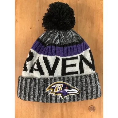 Baltimore Ravens Winter Knit Hat