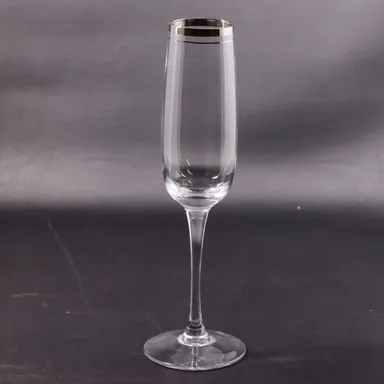 Crystal Double Platinum Banded Champagne Flute Glass Vintage 9 1/2"