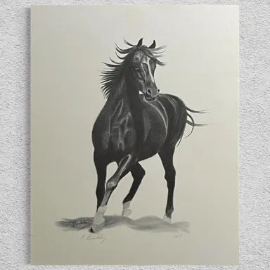 Black Stallion Horse Charcoal Print Signed C. Buckley #150 - 16x20"