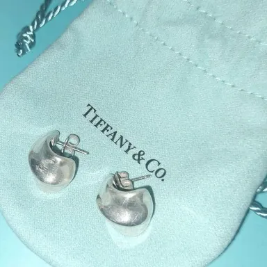 Rare & retired fall leaf Tiffany & Co Sterling Silver 925 earrings with pouch