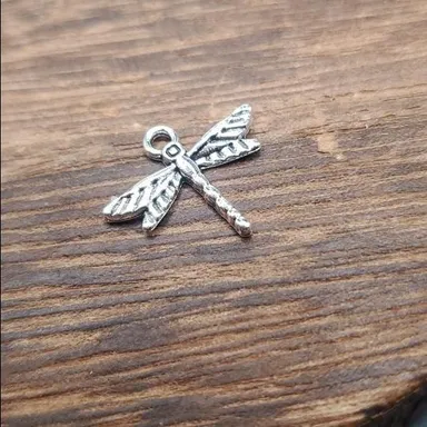 P113 dragonfly fairy core charm