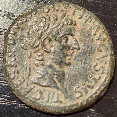 Tiberius Bronze Dupondis, Imperial Rome. Caesar Divi Avgvsti F, R/ Cornucopias. AE (15g)