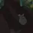 gorillamane