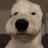 briangriffin