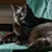 atomic_cat_lady