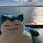 808pokestop