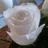 myvintagerose